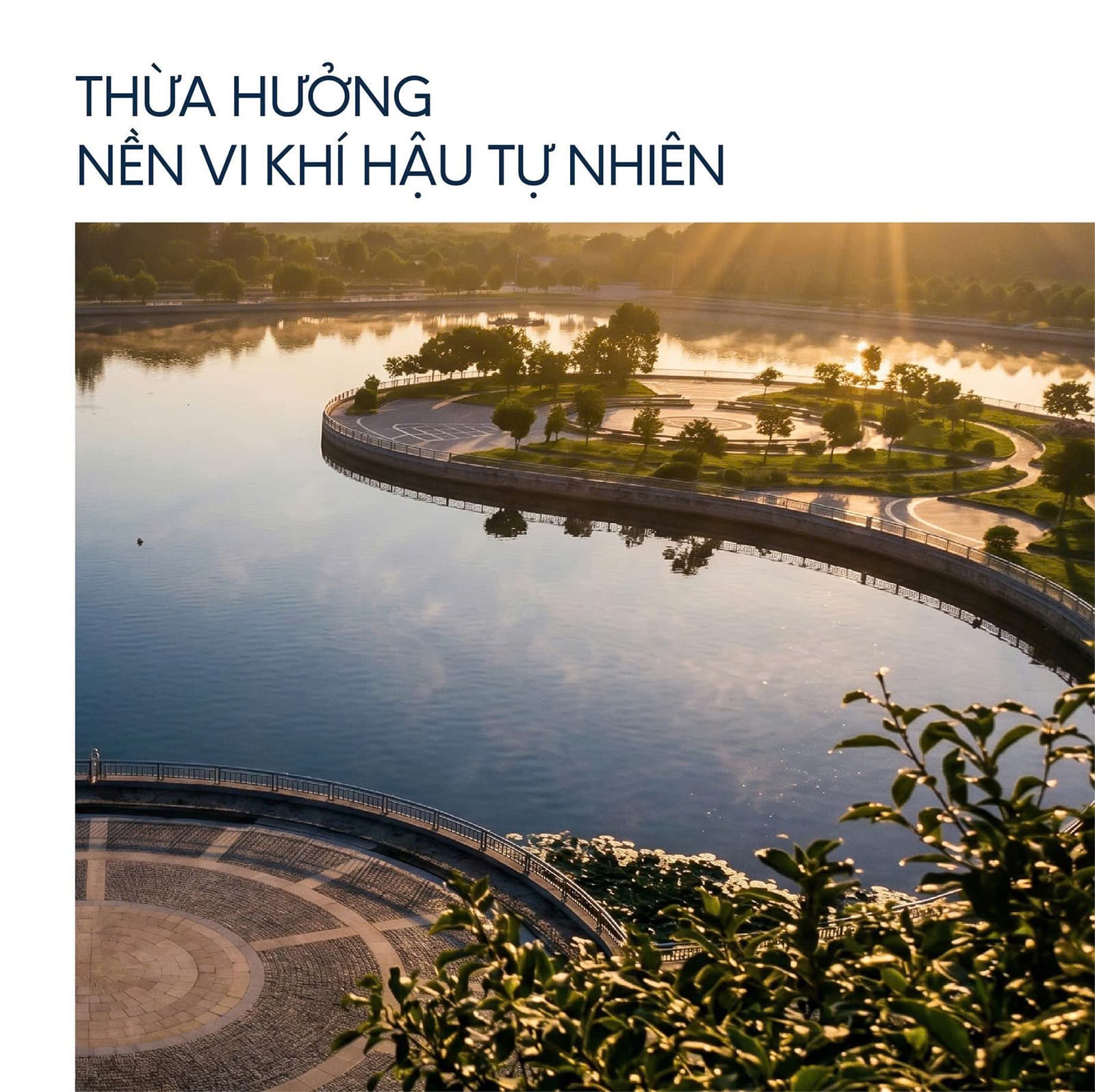 Tiện ích D’. Diamant Bleu